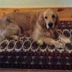 Meet your Posher, Maryanne